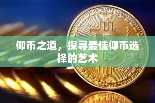 仰币之道，探寻最佳仰币选择的艺术