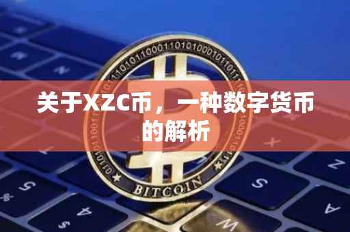 关于XZC币，一种数字货币的解析