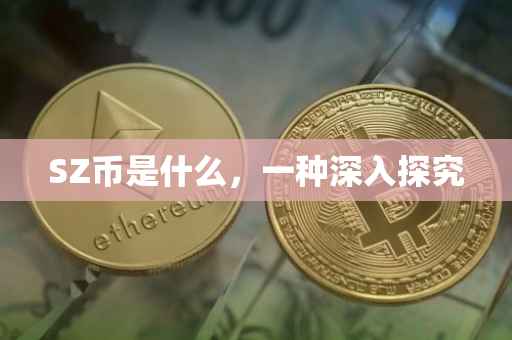 SZ币是什么，一种深入探究