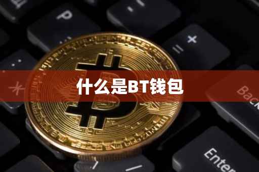 什么是BT钱包