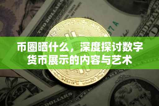 币圈晒什么，深度探讨数字货币展示的内容与艺术