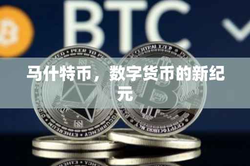 马什特币，数字货币的新纪元