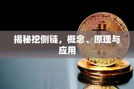 揭秘挖侧链，概念、原理与应用