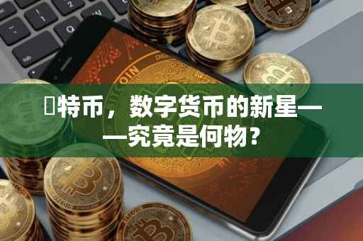 犇特币，数字货币的新星——究竟是何物？