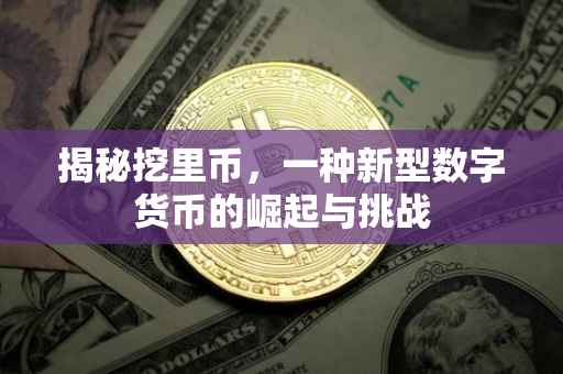 揭秘挖里币，一种新型数字货币的崛起与挑战