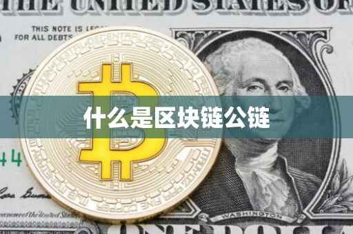 什么是区块链公链