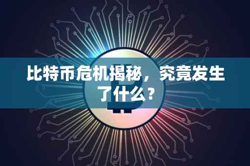 比特币危机揭秘，究竟发生了什么？