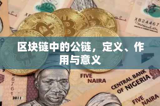 区块链中的公链，定义、作用与意义