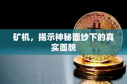 矿机，揭示神秘面纱下的真实面貌