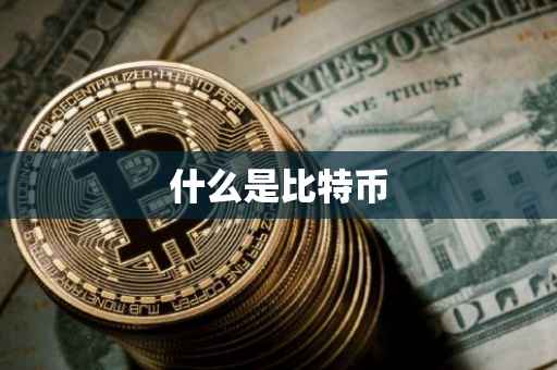 什么是比特币