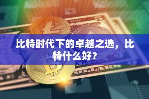 比特时代下的卓越之选，比特什么好？