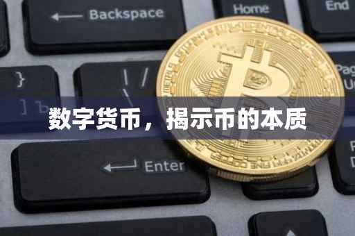 数字货币，揭示币的本质