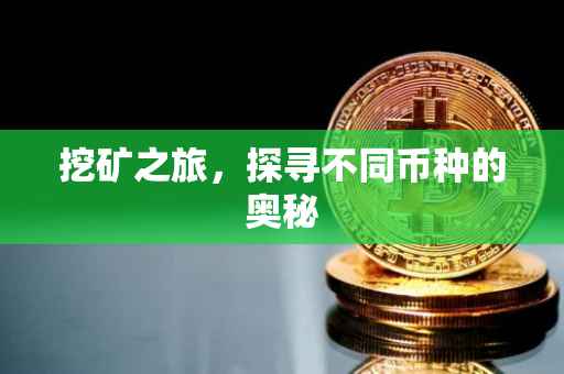 挖矿之旅，探寻不同币种的奥秘