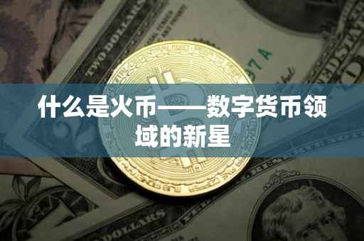 什么是火币——数字货币领域的新星