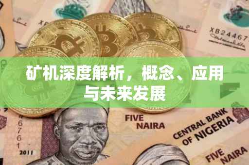 矿机深度解析，概念、应用与未来发展