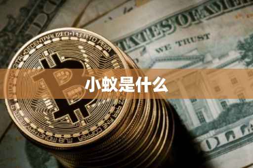 小蚁是什么