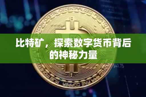 比特矿，探索数字货币背后的神秘力量