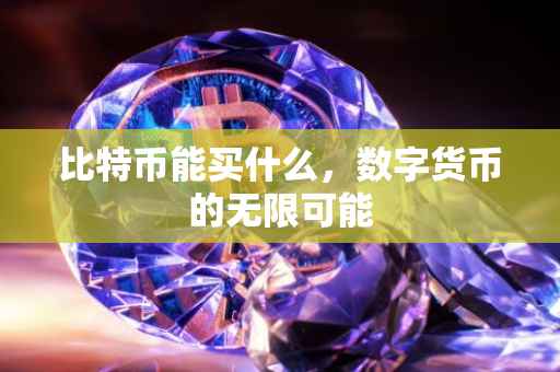 比特币能买什么，数字货币的无限可能