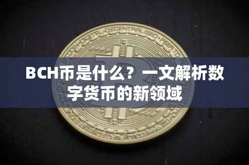 BCH币是什么？一文解析数字货币的新领域