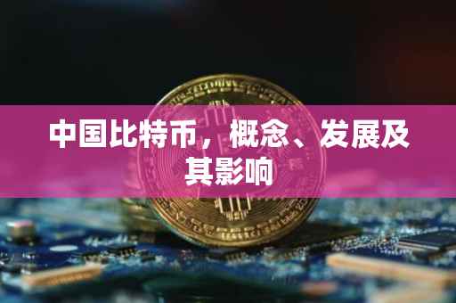 中国比特币，概念、发展及其影响