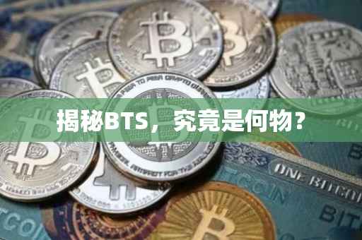 揭秘BTS，究竟是何物？