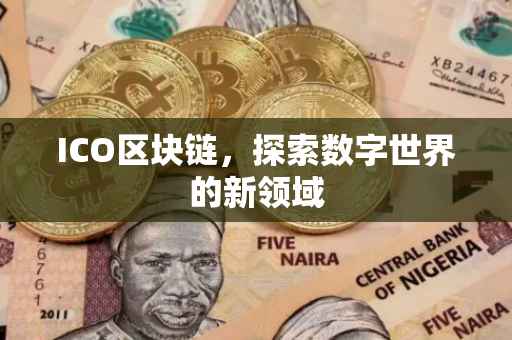 ICO区块链，探索数字世界的新领域
