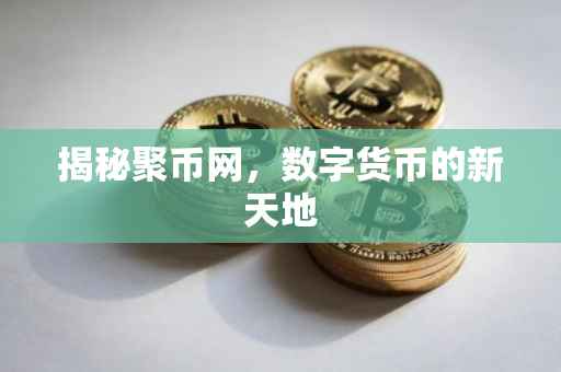 揭秘聚币网，数字货币的新天地