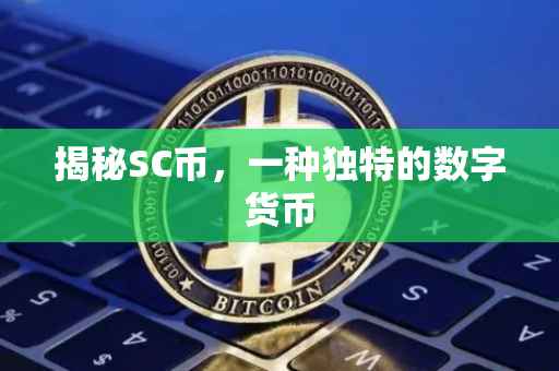 揭秘SC币，一种独特的数字货币