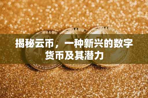 揭秘云币，一种新兴的数字货币及其潜力