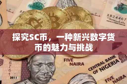 探究SC币，一种新兴数字货币的魅力与挑战