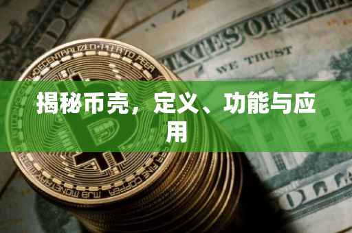 揭秘币壳，定义、功能与应用