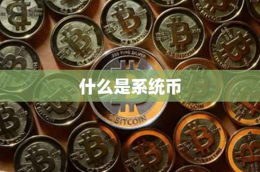 什么是系统币