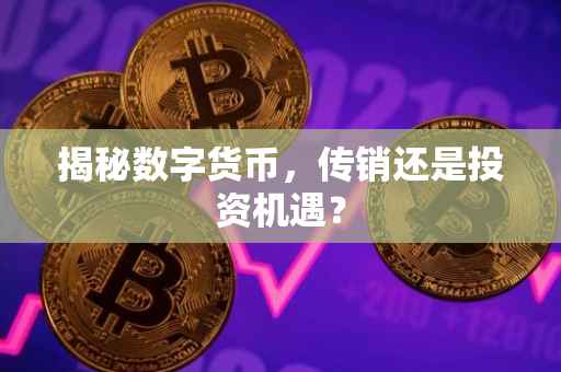 揭秘数字货币，传销还是投资机遇？