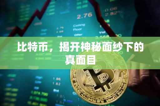 比特币，揭开神秘面纱下的真面目