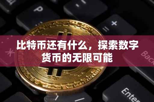 比特币还有什么，探索数字货币的无限可能