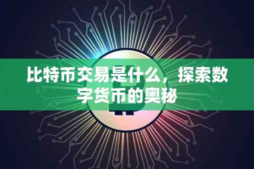 比特币交易是什么，探索数字货币的奥秘