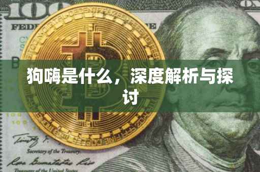 狗嗨是什么，深度解析与探讨
