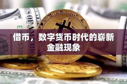 借币，数字货币时代的崭新金融现象