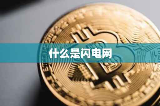 什么是闪电网