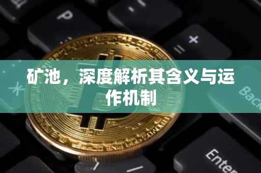 矿池，深度解析其含义与运作机制