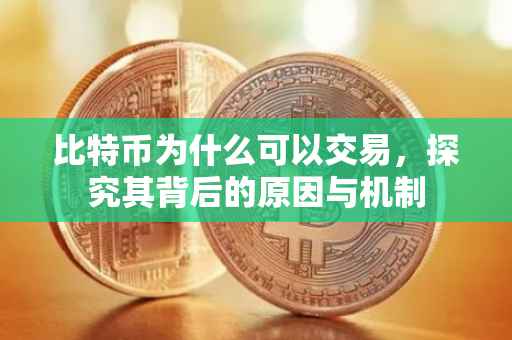 比特币为什么可以交易，探究其背后的原因与机制