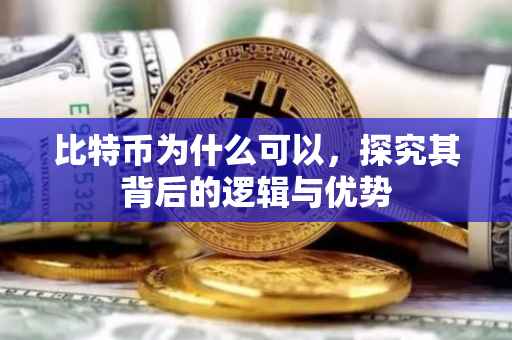 比特币为什么可以，探究其背后的逻辑与优势