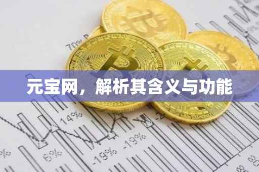 元宝网，解析其含义与功能