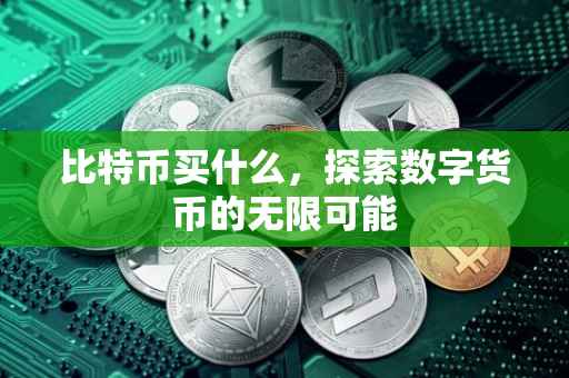比特币买什么，探索数字货币的无限可能