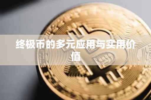 终极币的多元应用与实用价值