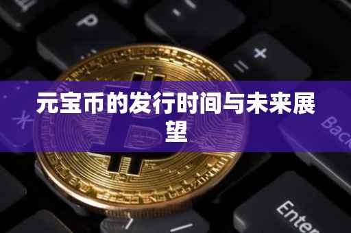 元宝币的发行时间与未来展望