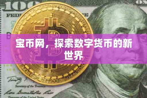 宝币网，探索数字货币的新世界