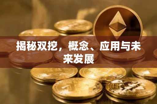 揭秘双挖，概念、应用与未来发展