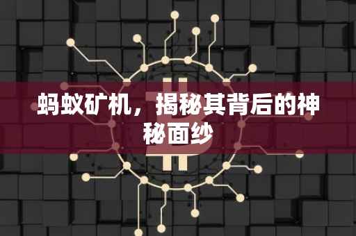 蚂蚁矿机，揭秘其背后的神秘面纱