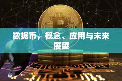 数据币，概念、应用与未来展望